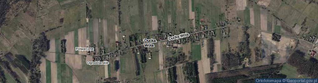 Zdjęcie satelitarne Ducka Wola ul.